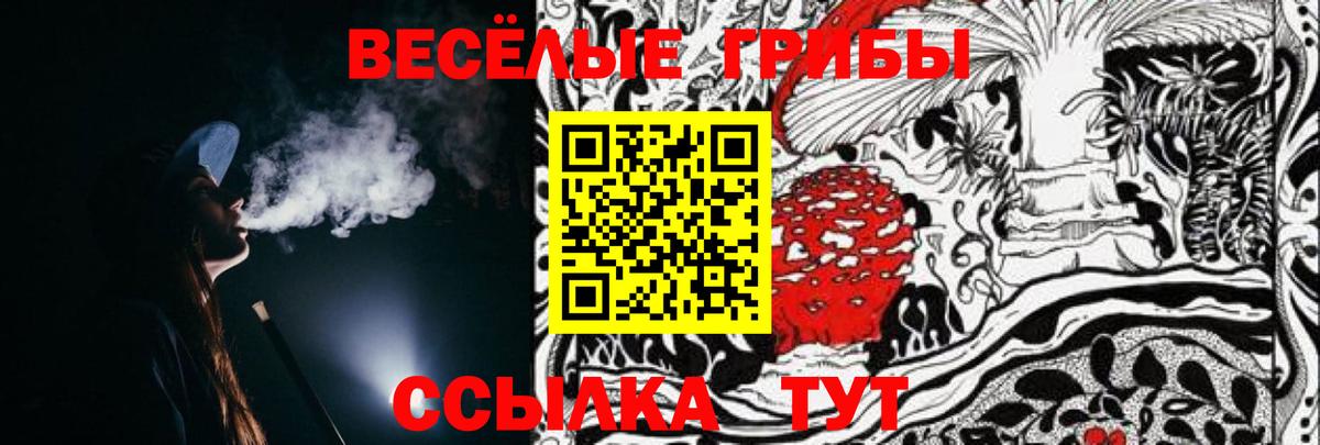 Псилоцибиновые грибы Psilocybe Усинск